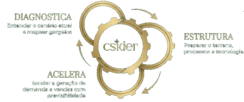 Metodologia DEA — Diagnostica, Estrutura e Acelera